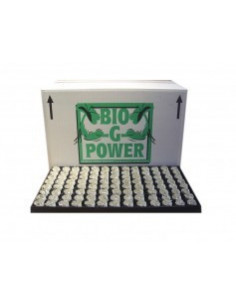 Plateau Bouture Laine et Perlite Biopower