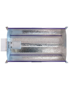 Gavita Triple Star 600 2