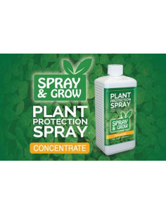 Plant Protection Spray 500ml Concentré 2
