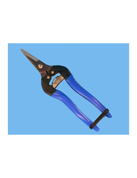 Ciseaux - Sécateur 13cm