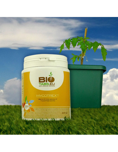 Mycotrex 500gr