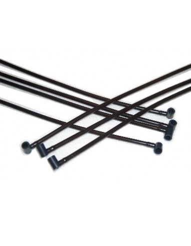 Ray Jet + Cobra slang 1mtr