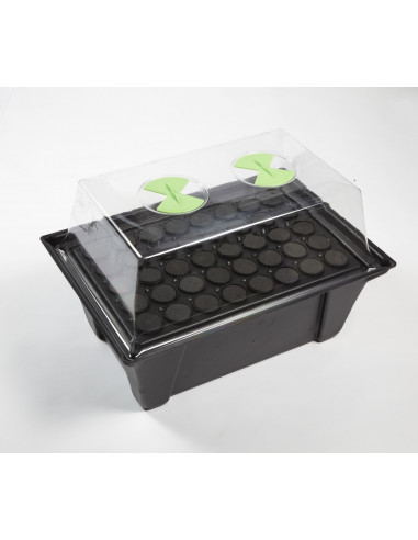 Aeroponic propagator X-Stream 40 site