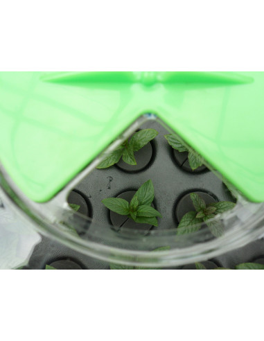 Aeroponic propagator X-Stream 40 site