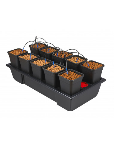 Wilma small wide 10 (10x6L pots)