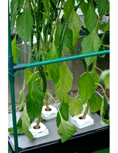 Gro-Tanks  NFT GT205 BASIC KIT