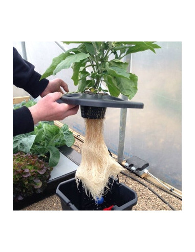 OXYPOT 19ltr Aeroponic System