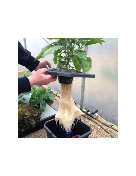 OXYPOT 19ltr Aeroponic System