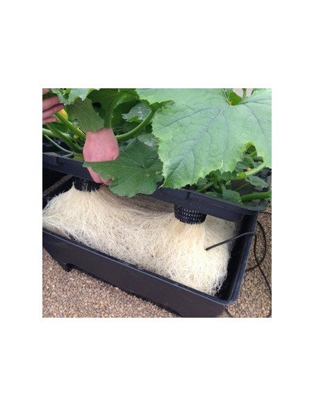 OXYPOT 19ltr Aeroponic System