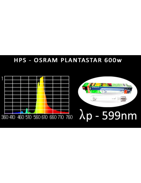 Osram Plantastar 600w HPS