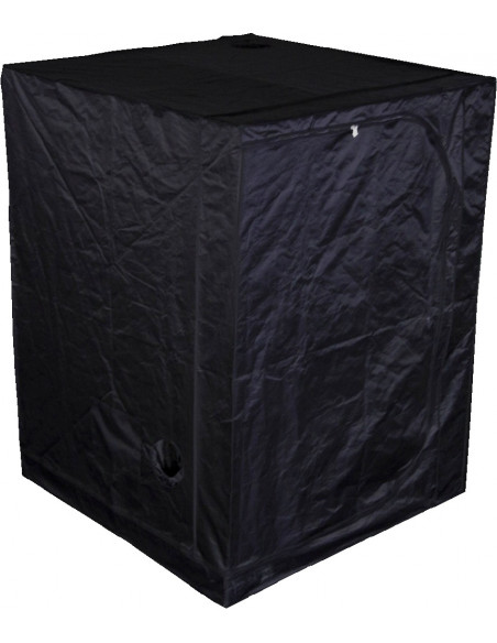 Mammoth Classic DS150 