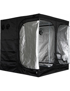 Mammoth Classic DS200 2