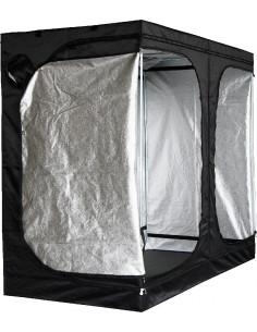 Mammoth Classic DS240L 2