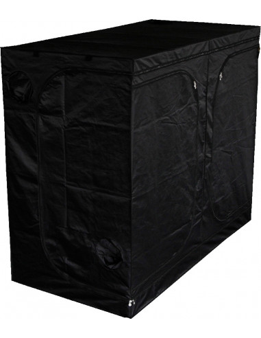 Mammoth Classic DS240L