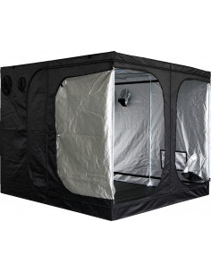 Mammoth Classic DS240 2