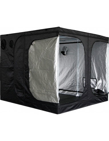 Mammoth Classic DS240