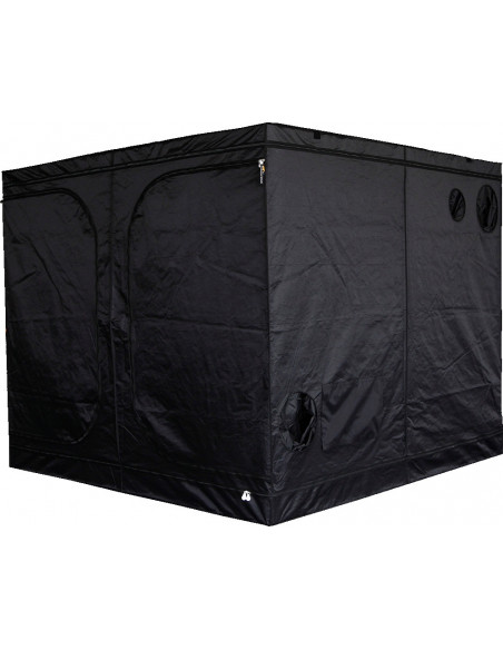 Mammoth Classic DS240