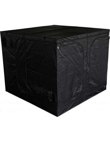 Mammoth Classic DS240