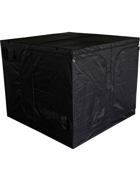 Mammoth Classic DS240