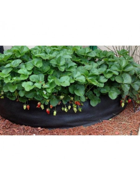 Smart Pot Big Bag Bed Mini (57ltr)