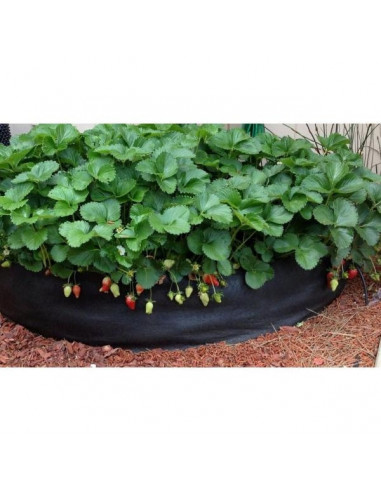 Smart Pot Big Bag Bed Original (380ltr)