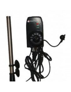 RP Chauffage Aquarium INOX 300w