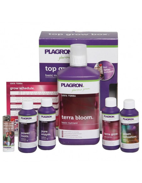 Plagron Kit Top Grow Box Terra