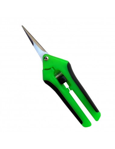 Green scissor curved