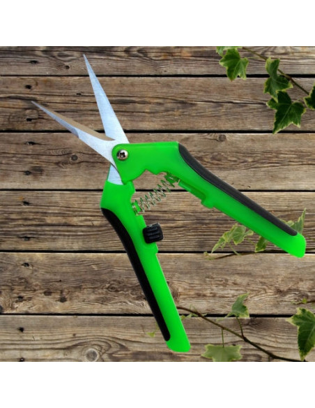 Ciseaux Green Scissor Incurvé