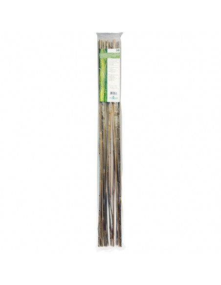 Bamboo 90 cm pack de 25 pc