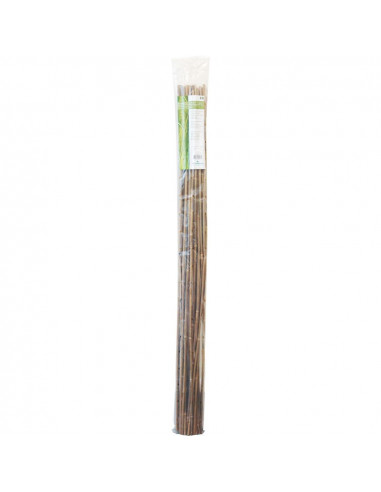 Bamboo 120 cm pack de 25 pc