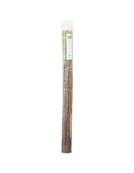 Bamboo 120 cm pack de 25 pc