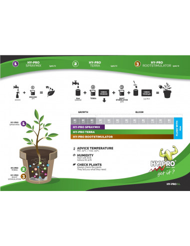 Terra 1 component 1 Lt Hy-Pro
