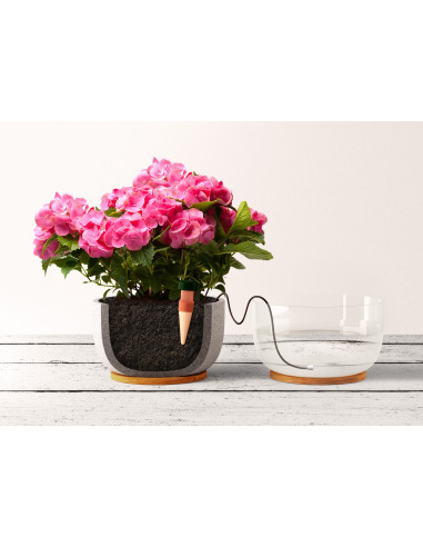 Blumat Classic Pack (3pcs)