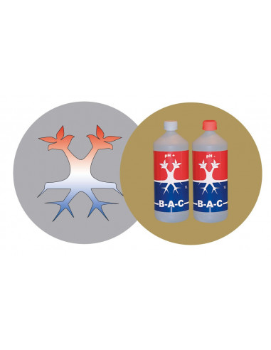 BAC pH - 1ltr 
