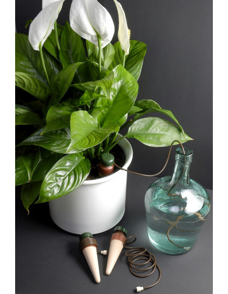 Blumat Classic XL Pack (2pcs)