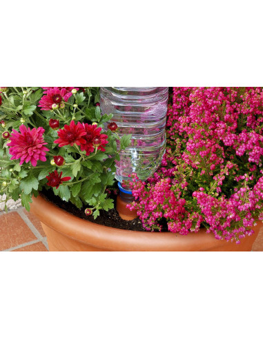 Blumat Easy XL Pack (2 pcs)