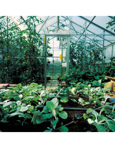 Kit Blumat 3mtr 12 Plantes