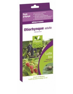 NEMATODES CONTRE L'OTIORHYNQUE ADULTE 10 M²