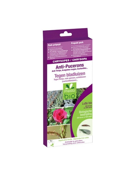 CHRYSOPES CONTRE PUCERONS, THRIPS, COCHENILLES, ACARIENS, .. pour 50 m²