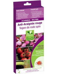 ACARIENS PHYTOSEIULUS CONTRE ARAIGNEE ROUGE 25 à 100 m² 500 adultes
