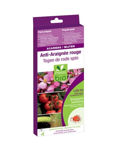 ACARIENS PHYTOSEIULUS CONTRE ARAIGNEE ROUGE 25 à 100 m² 500 adultes