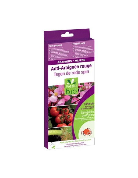 ACARIENS PHYTOSEIULUS CONTRE ARAIGNEE ROUGE 25 à 100 m² 500 adultes