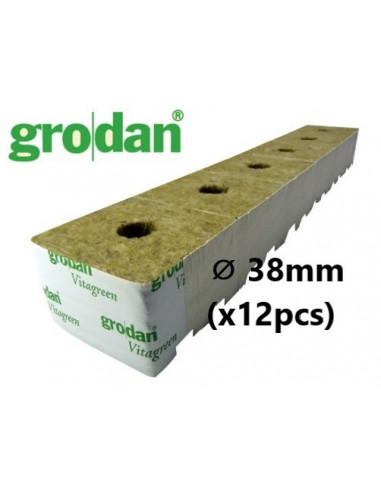 Cube Laine de Roche Grodan StartBlock ⌀ 38mm (x12pcs)