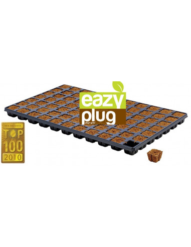 Eazy Plug 77pcs