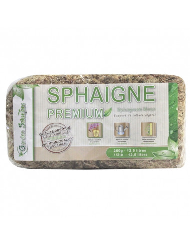 Sphaigne du Chili 250 gr Qualité Premium