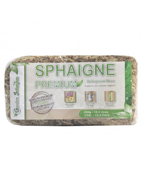 Sphaigne du Chili 250 gr Qualité Premium