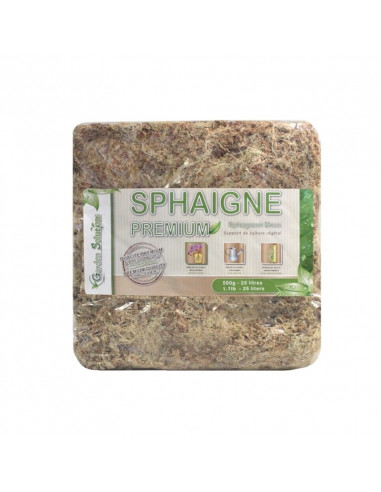 Sphaigne du Chili 500 gr Qualité Premium 