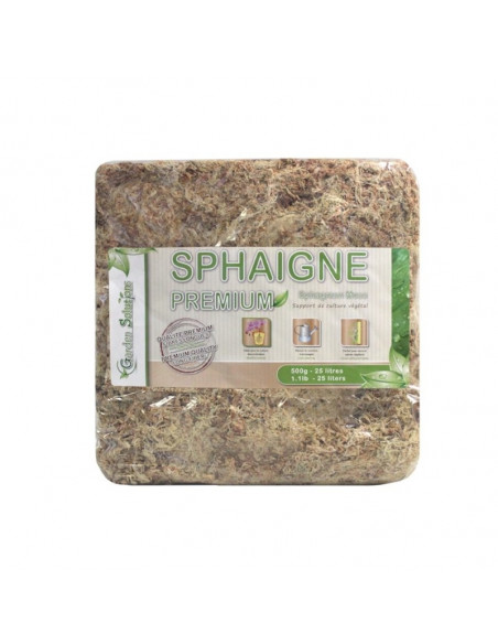 Sphaigne du Chili 500 gr Qualité Premium 