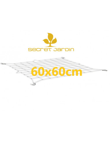 Secret Jardin WebIT 60 60x60 cm